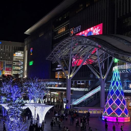 JR博多駅前広場にて、無数の電球でライトアップされる壮大なイルミネーション